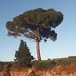 Magdic شقة Brzac